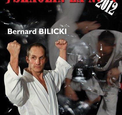 bilicki nuit shaolin toulouse spectacle