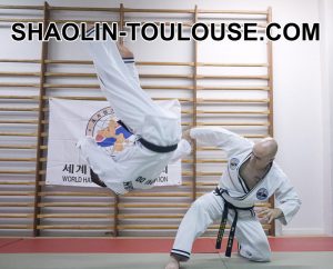Hapkido au Shaolin Toulouse